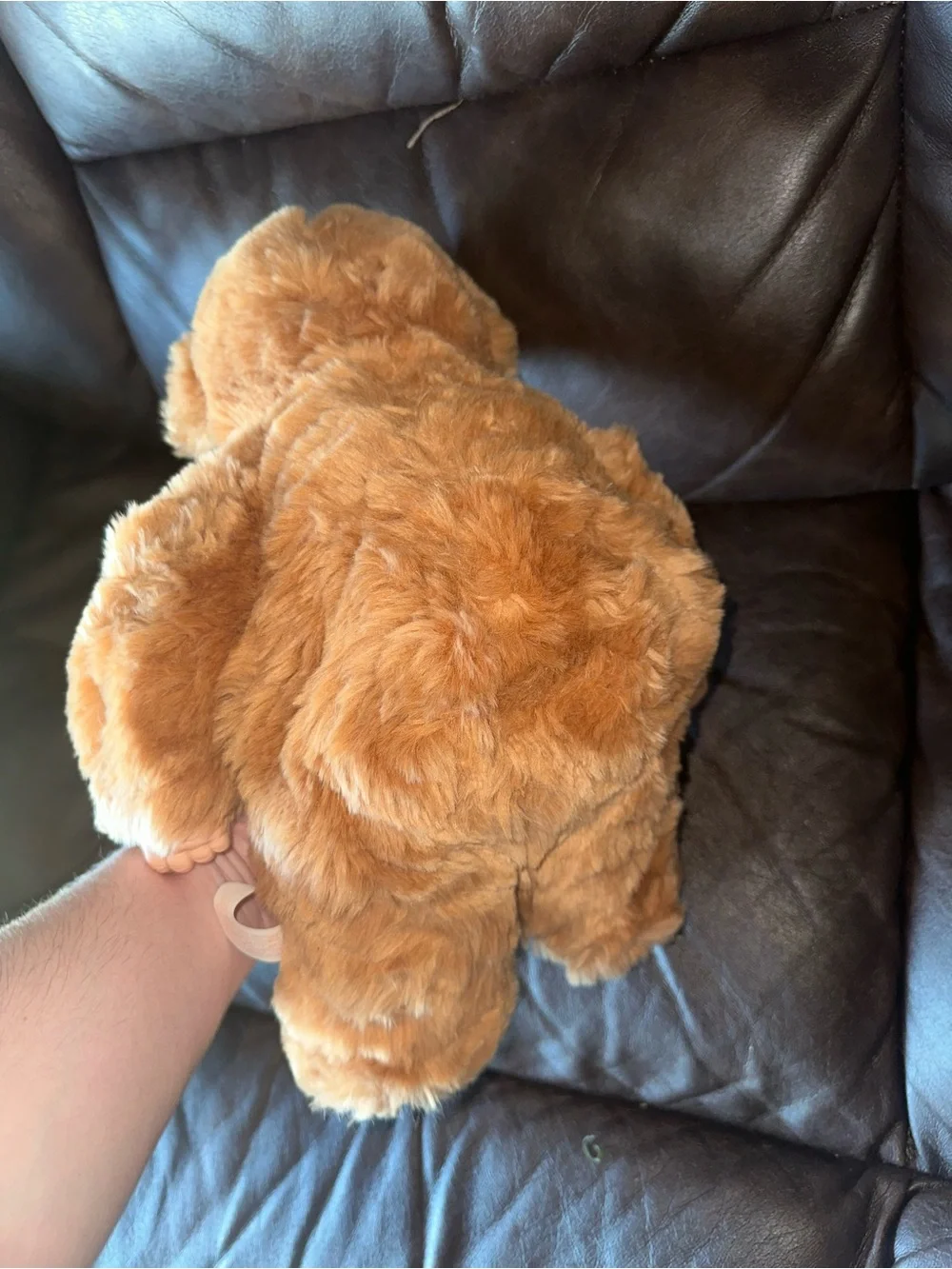 vintage 1997 Anne Geddes Baby Bear plush doll